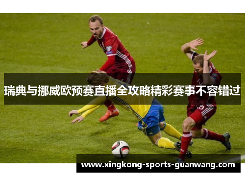 瑞典与挪威欧预赛直播全攻略精彩赛事不容错过